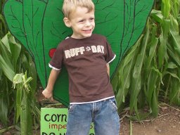 2010 Pumpkin Patch